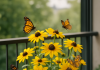 10 Beautiful Plants to Attract Butterflies to Your Balcony Garden